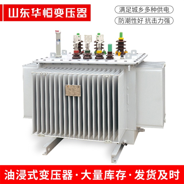S13-10000/35肇东肇东肇东电力变压器