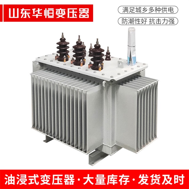 S13-10000/35肇东肇东肇东油浸式变压器厂家